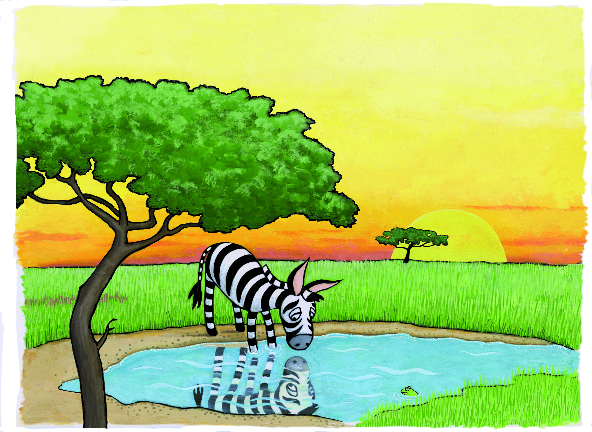 zebra kijkt in poel